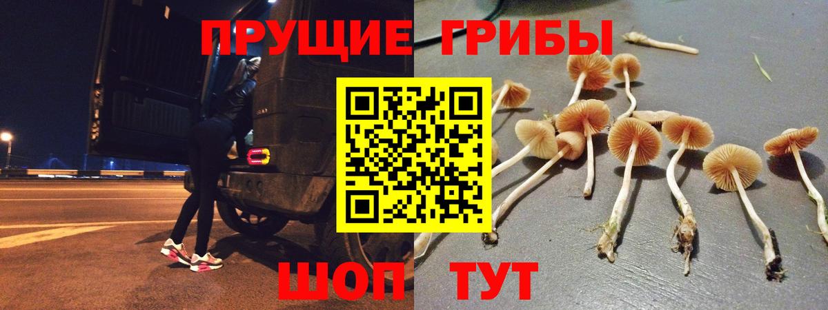 Псилоцибиновые грибы мухоморы Вышний Волочёк