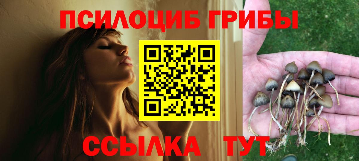Вышний Волочёк  Галлюциногенные грибы ЛСД  цена наркотик  Вход с VPN 